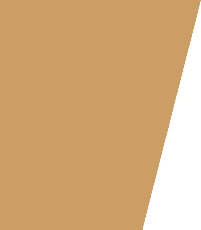 Vector1